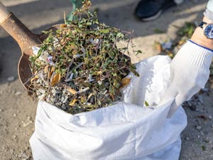 House Clearance 22 pexels photo 29192615